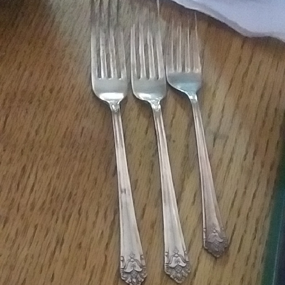 1847 Rogers Bros Classic Silver Flatware Fork Set